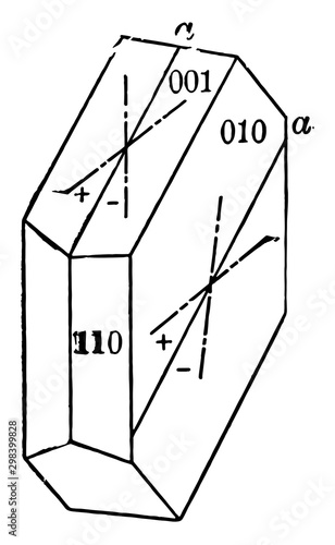 Extinction Angles, vintage illustration.