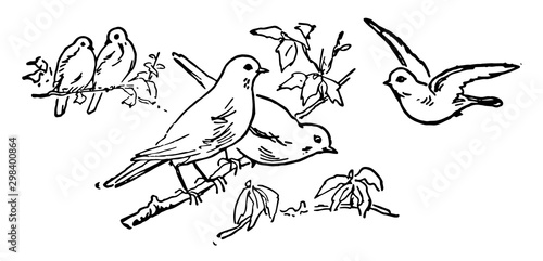 Five birds, vintage illustration.