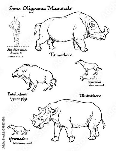 Mammals from the Oligocene Mammals, vintage illustration.
