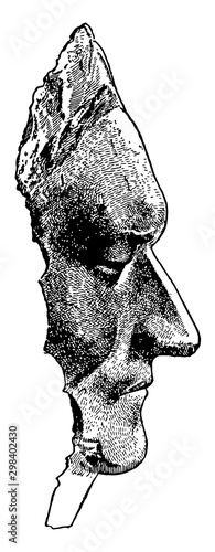Death Mask of Sir Isaac Newton, vintage illustration