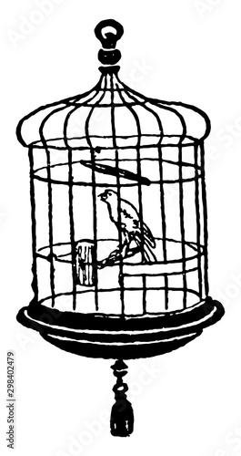 Canary in Cage, vintage illustration.