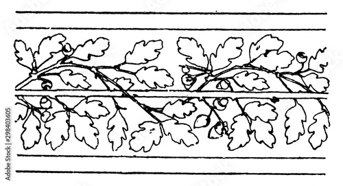 Oak Border Undulate Band is a wavelike design of oak leaves, vintage engraving.
