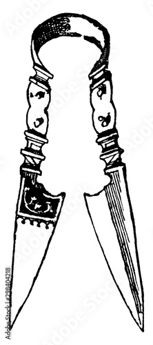 Sheep Shears, vintage illustration.
