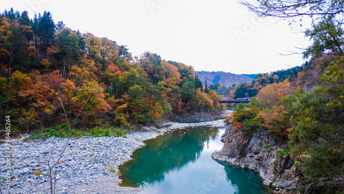 Fototapeta Naklejka Na Ścianę i Meble -  Scenic landscape view of river and nature trees in the forest with colors leaves change in fall autumn season , Japan.