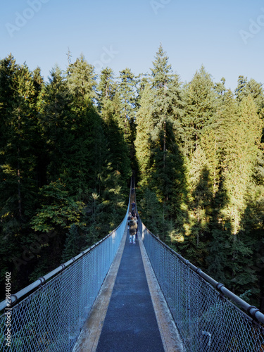 Fototapeta Naklejka Na Ścianę i Meble -  Capilano Suspension Bridge Park in Vancouver