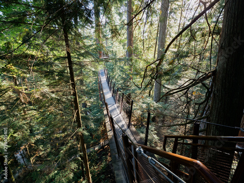 Capilano Suspension Bridge Park in Vancouver
