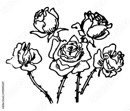 Five Roses, vintage illustration