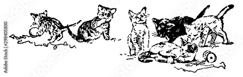 Six Cats, vintage illustration.