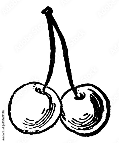 Two Cherries, vintage illustration