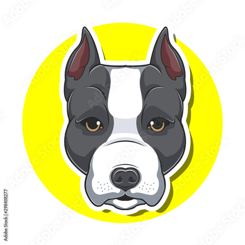 big head dog cartoon with yellow background