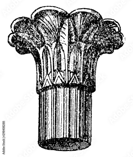 Canvas-taulu Capital with Palm, Egypt