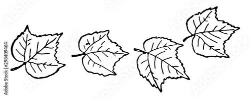 Four Leaves, vintage illustration