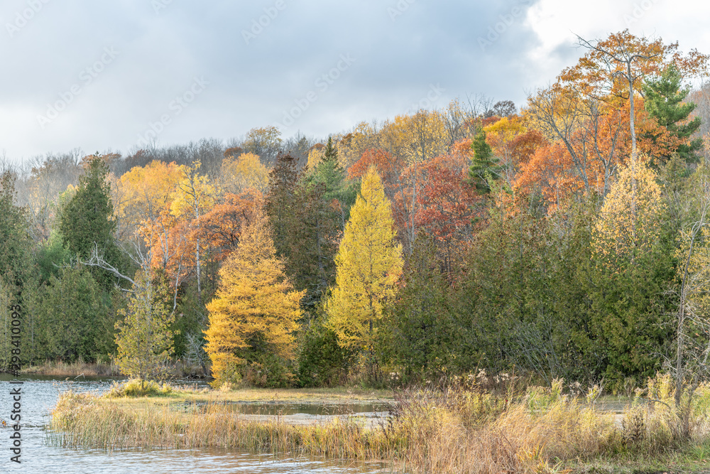 Fototapeta premium Fall colours (colors) with shoreline landscape