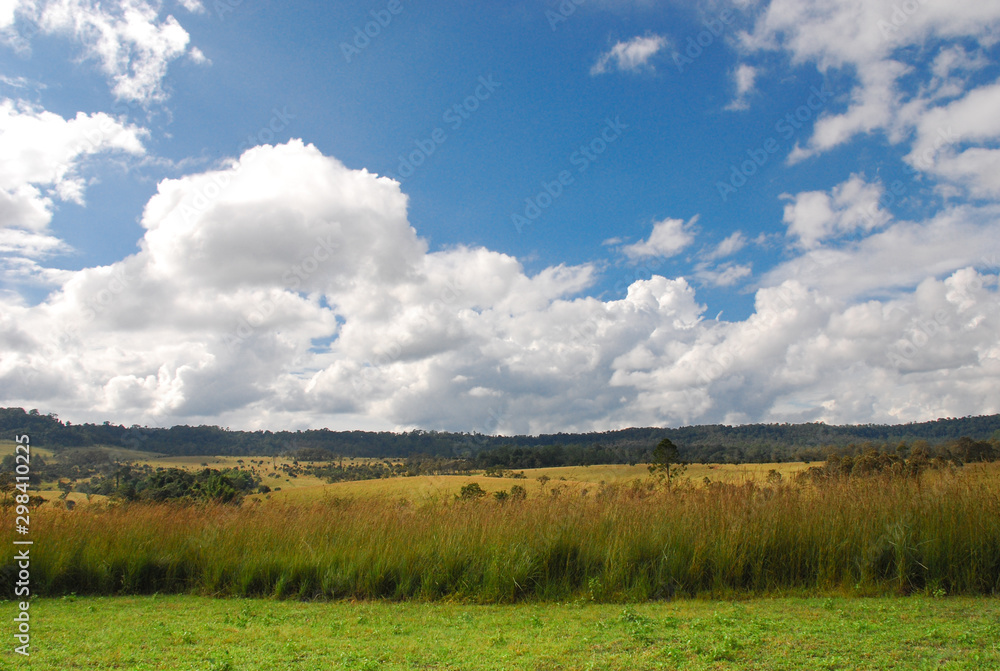 Savannah Field of Thailand with blue sky background. Savannah Field of Thailand with blue sky background.