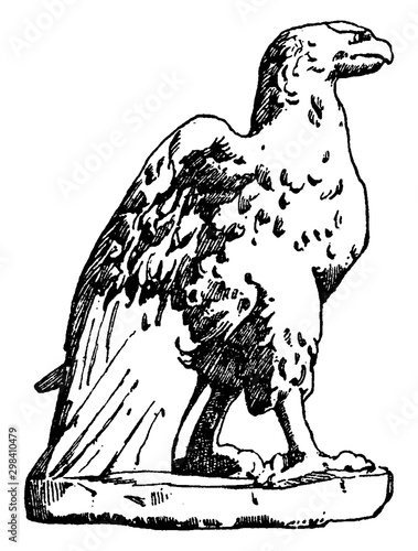 Roman Eagle is found at the Vatican in Rome, vintage engraving.