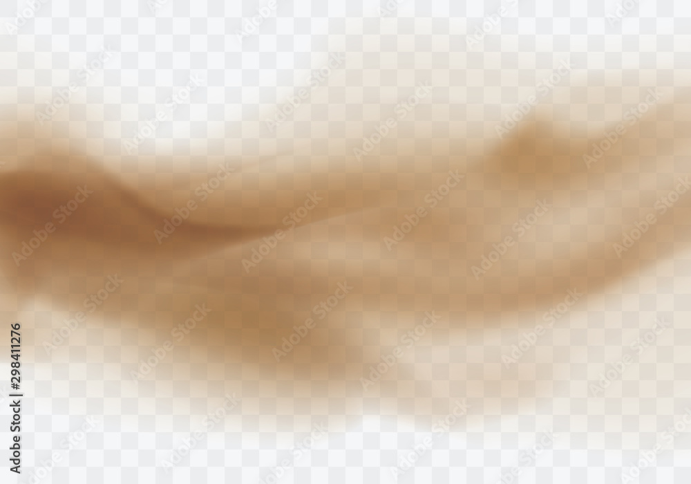 Desert sandstorm, brown dusty cloud or dry sand flying with gust of wind, big explosion realistic texture vector illustration isolated on transparent background