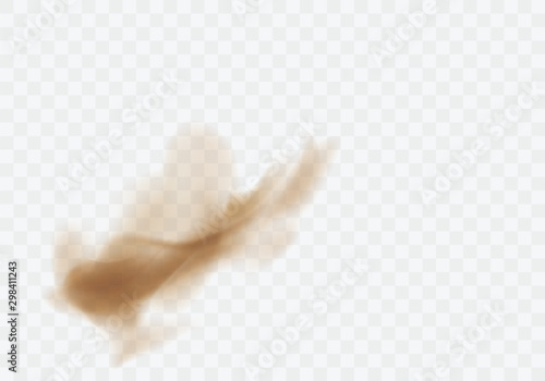 Desert sandstorm, brown dusty cloud or dry sand flying with gust of wind, big explosion realistic texture vector illustration isolated on transparent background