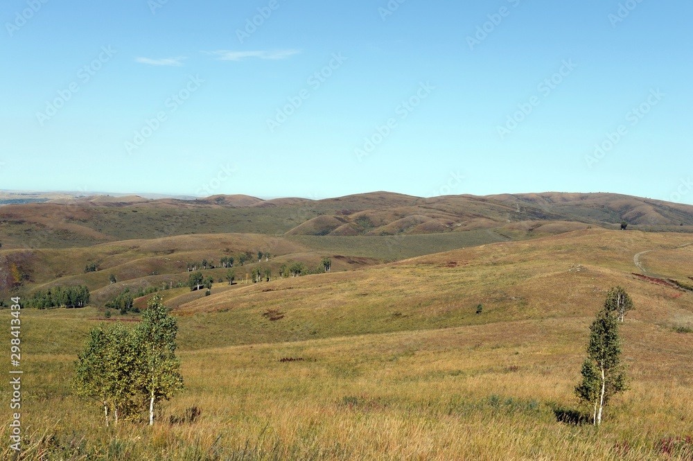 Obraz premium Foothills of the Altai Mountains. Western Siberia. Russia