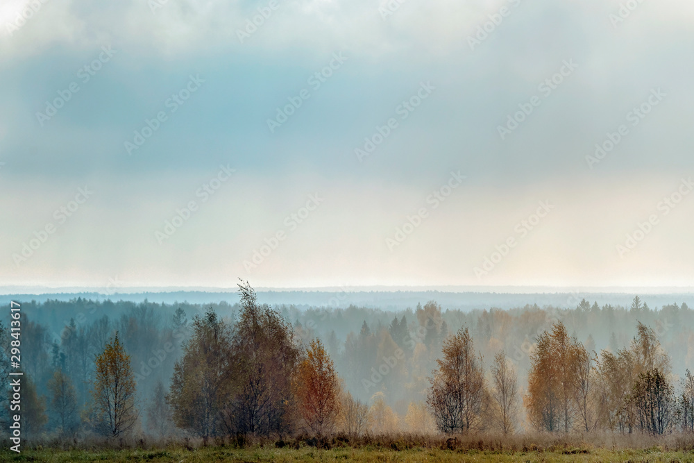 Autumn morning rural landscape in backlit with fog