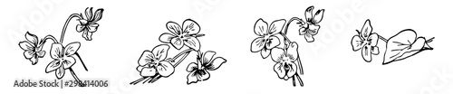 Ten Flowers, vintage illustration