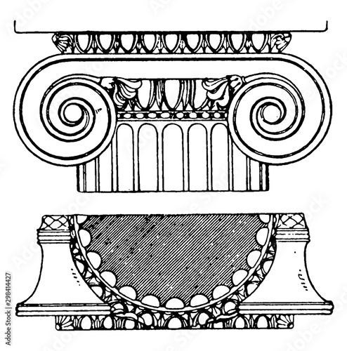 Graeco-Ionic Capital, palmettes,  vintage engraving.