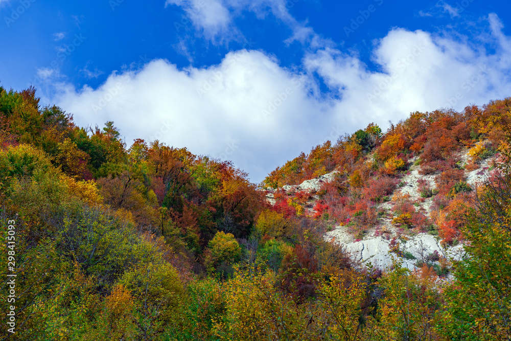 Mountain covered with colorful autumn forest