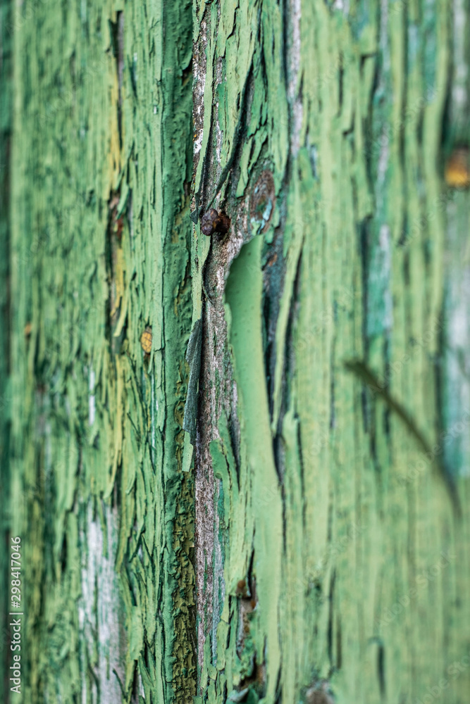 old painted wood texture, green painted wooden plank old painted wood texture, green painted wooden plank