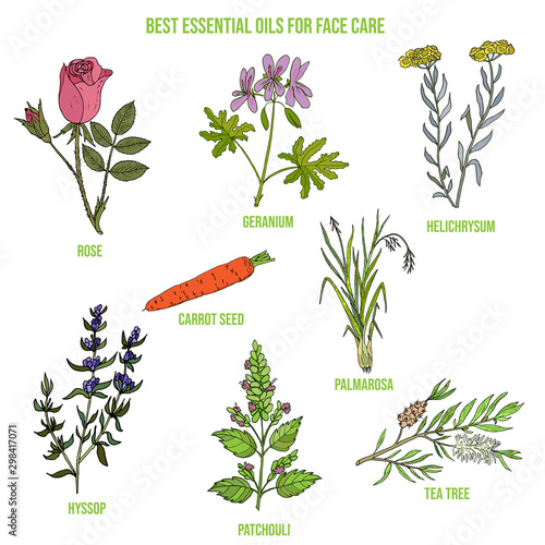 Best essential oils for face care