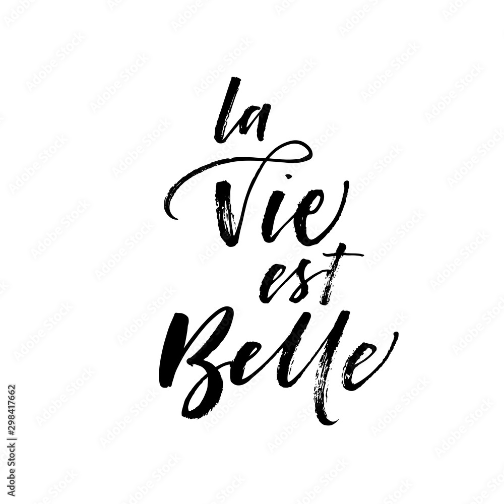 La vie est belle card. Hand drawn brush style modern calligraphy ...