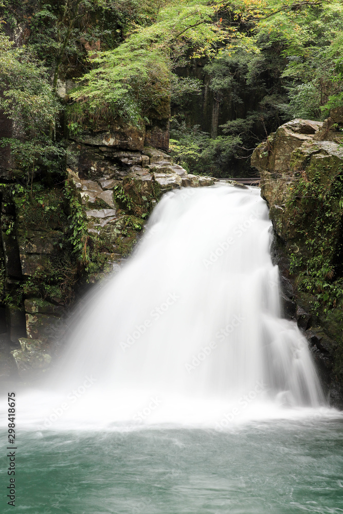 Fototapeta premium waterfall in forest