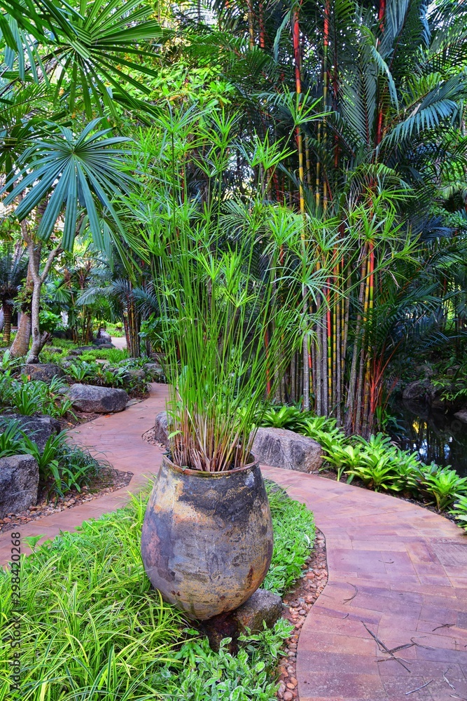 Φωτογραφία Phuket reception garden area pathway views at Thailand resort, stock photo with no people, near Bangkok