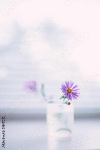 tender violet flowers in a small vase on a white blurred windowsill  love card.