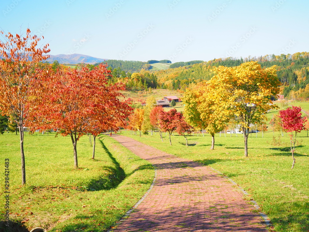 Naklejka premium 秋の北海道の風景