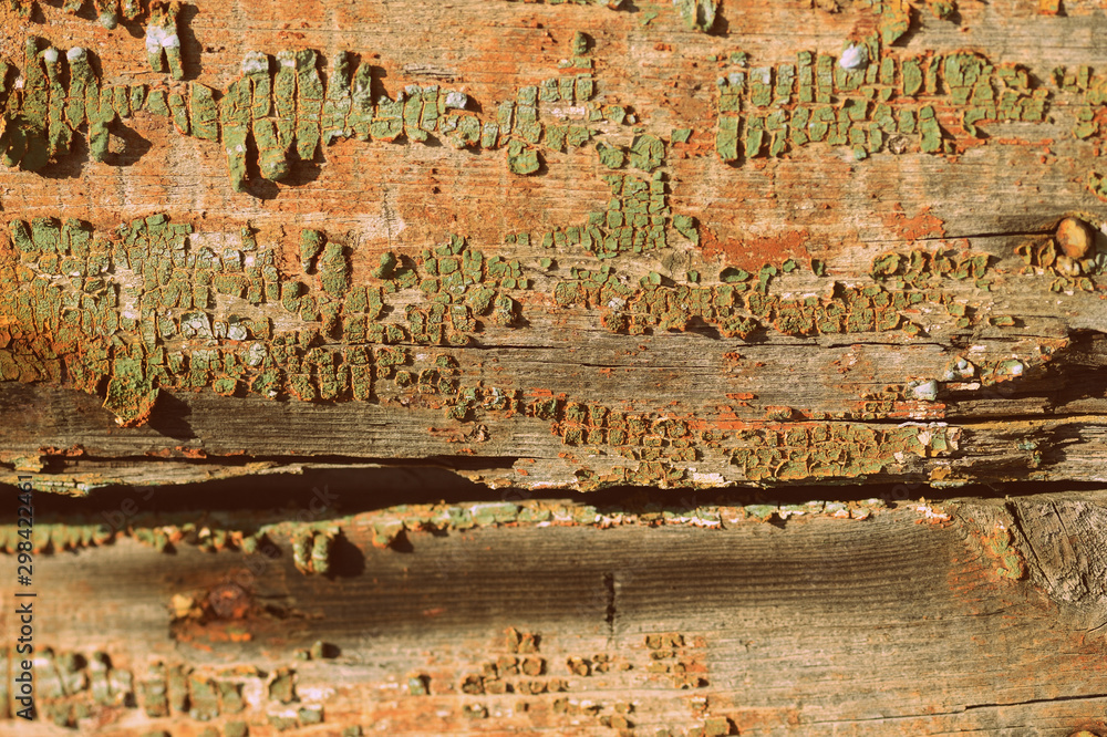 Fototapeta premium Old wooden surface close up. Abstract background retro style