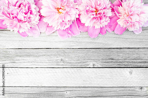 Peony flowers on wooden table. Pink petals for background