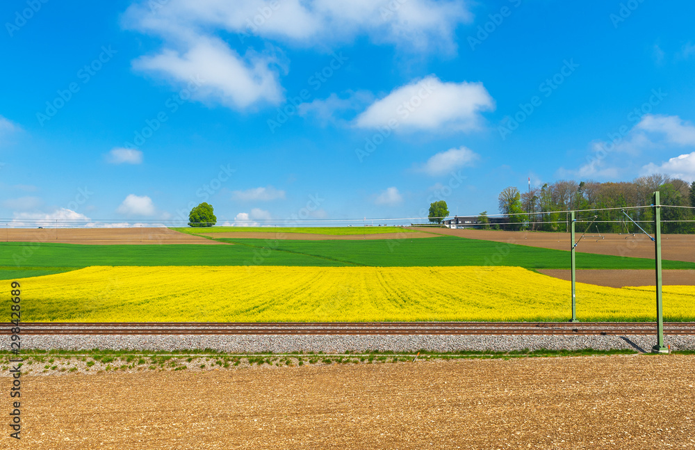 Obraz premium Bright colors of peaceful swiss countryside in spring
