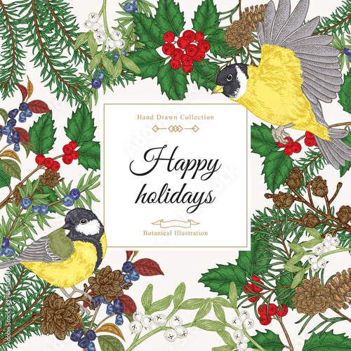 Christmas card with birds and trees. Hand drawn tits on the branches of spruce, holly tree and mistletoe. Vector illustration. Colorful engraving style.