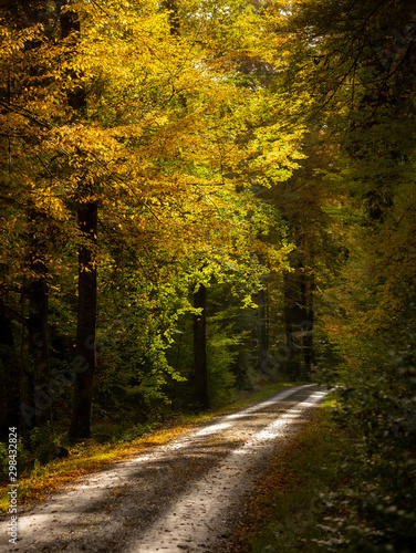 Herbst im Naturpark Schönbuch © jmw