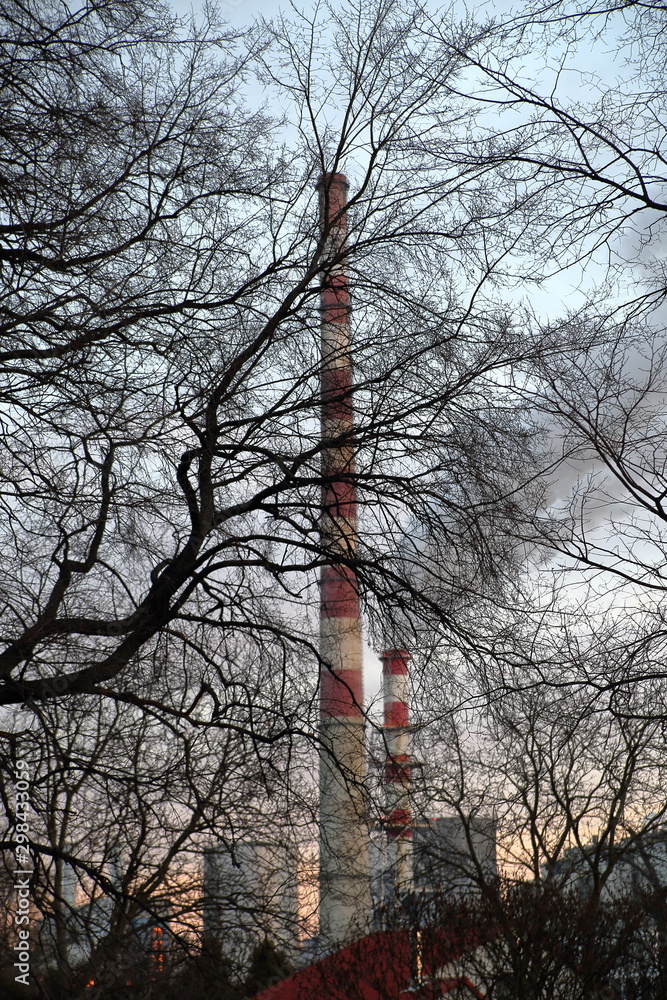 Czerwono-biały wysoki komin, obok taki sam, mniejszy, z unoszącym się z niego dymem, za gęstymi gałęziami drzewa, na tle szarego nieba - obrazy, fototapety, plakaty 