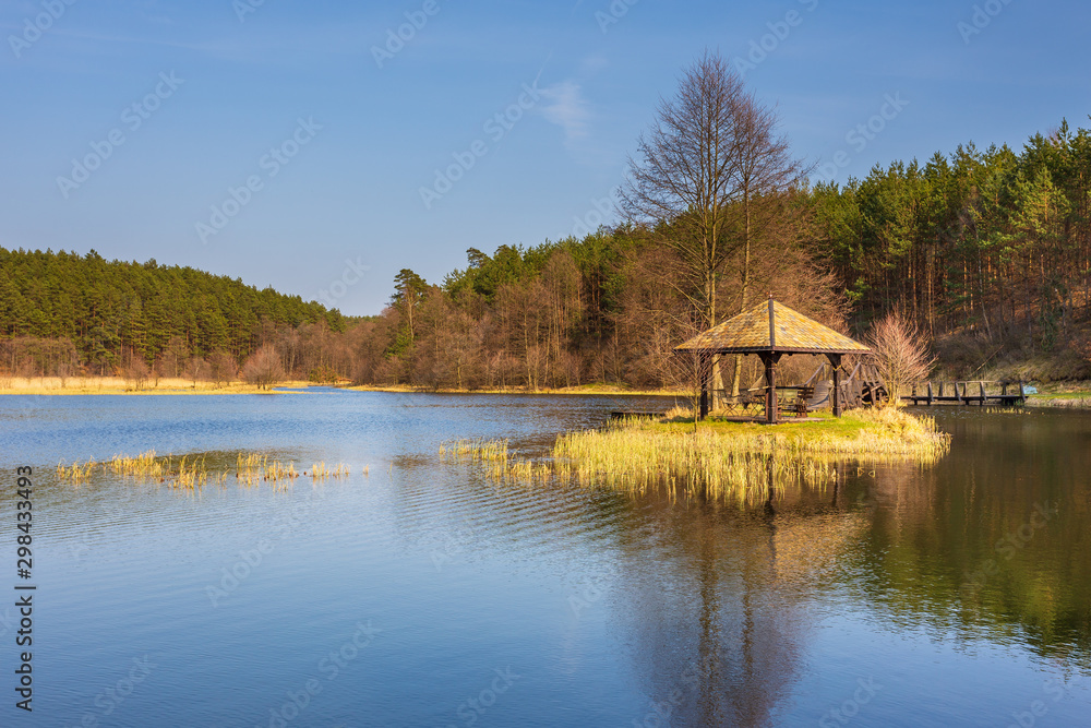 Fototapeta premium Small lake surrounded by forest, Dywan, Poland.