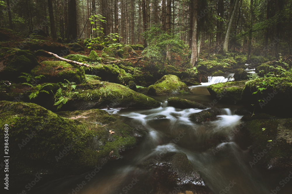 Dark and moody edit of a little creek in a magical fantasy forest in ...