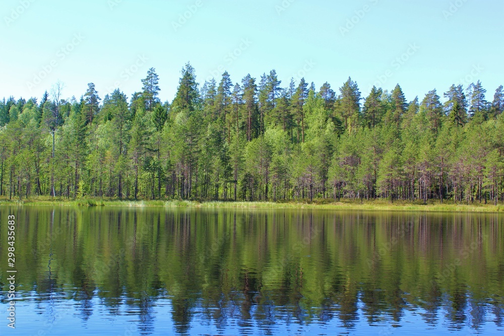 lake in forest