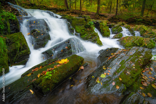 Fototapeta Naklejka Na Ścianę i Meble -  Wasserfall im Harz im Herbst