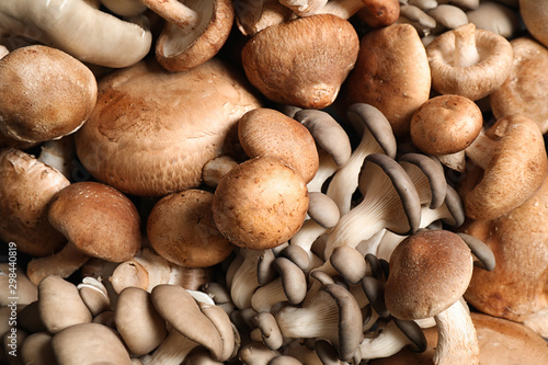 Different fresh wild mushrooms as background, closeup