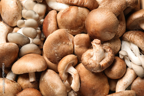 Fresh wild mushrooms as background, top view. Edible fungi