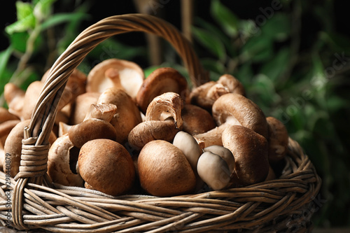 Fresh wild mushrooms in wicker basket on blurred green background, closeup