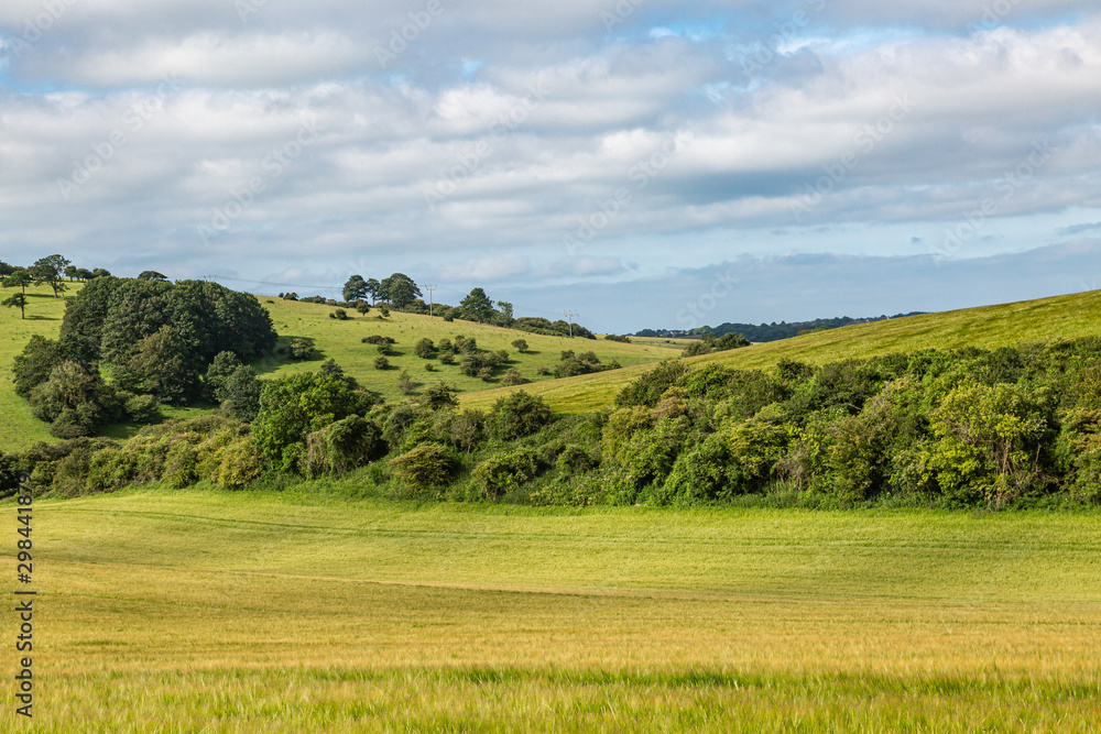 A green Sussex landscape on a sunny summers morning