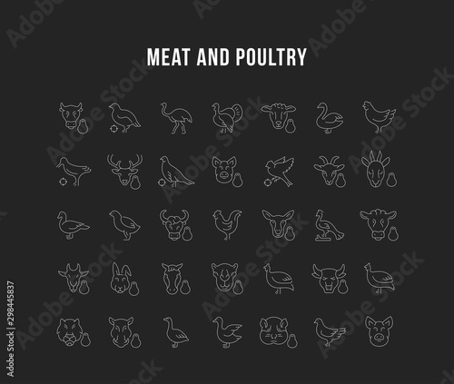 Set Vector Line Icons of Meat and Poultry.