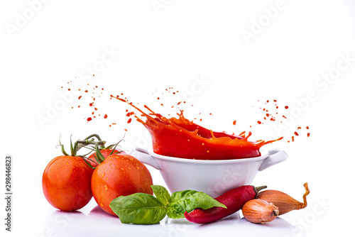 ingredients with vegetables, and tomato puree, with a splash photo