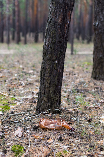 Fototapeta Naklejka Na Ścianę i Meble -  Brown plastic bottle on the ground in a pine forest.
